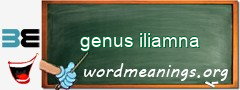WordMeaning blackboard for genus iliamna